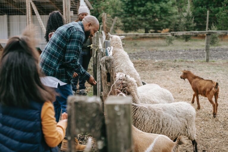 Visite de la ferme pédagogique en famille